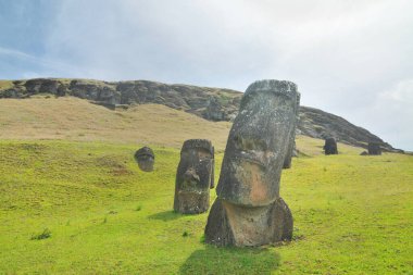 Moai heykelleri, Paskalya Adası 'ndaki Rano Raraku yanardağının yamaçlarına bırakıldı.