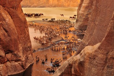 Guelta d 'Archei, Çad' ın kuzeydoğusundaki Ennedi Platosu 'nda yer alır.