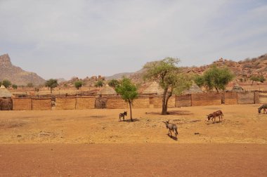 Çad 'ın kuzeyinde Sahra Çölü' nün oradaki köy.