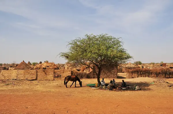 Çad 'ın kuzeyinde Sahra Çölü' nün oradaki köy.