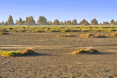       Chimneys on Lake Abbe, also known as Lake Abhe Bad salt lake lying on the Ethiopia-Djibouti border                    clipart