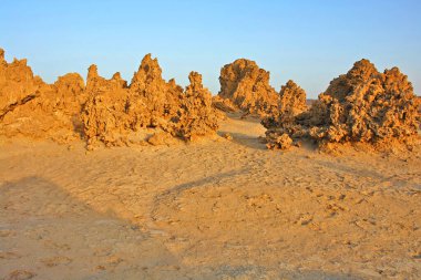       Abbe Gölü 'ndeki bacalar, Etiyopya-Cibuti sınırında yer alan kötü tuz gölü olarak da bilinir.                   