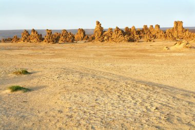       Abbe Gölü 'ndeki bacalar, Etiyopya-Cibuti sınırında yer alan kötü tuz gölü olarak da bilinir.                   