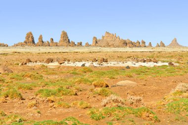       Abbe Gölü 'ndeki bacalar, Etiyopya-Cibuti sınırında yer alan kötü tuz gölü olarak da bilinir.                   