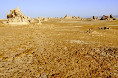       Abbe Gölü 'ndeki bacalar, Etiyopya-Cibuti sınırında yer alan kötü tuz gölü olarak da bilinir.                   