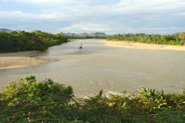   Ekvador Amazon 'daki Napo Nehri                             
