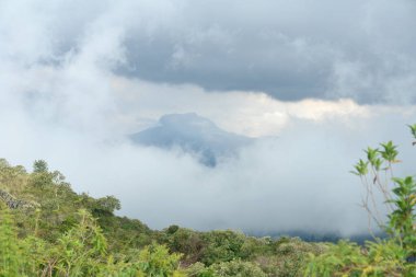      Ekvador 'da aktif Cotopaxi volkanı                          