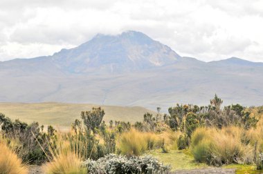         Ekvador 'da aktif volkanı olan Cotopaxi Ulusal Parkı                       