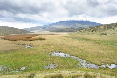         Ekvador 'da aktif volkanı olan Cotopaxi Ulusal Parkı                       