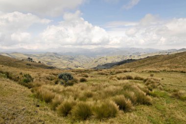 Panorama from the Chami Wayku viewpoint on the Rio Toach canyon in Ecuador clipart