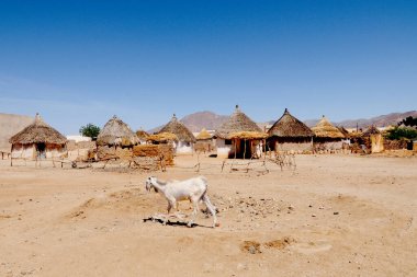  Ülkenin batısındaki Eritre köyü.