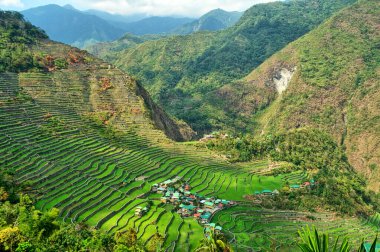  Filipinli Cordilleras 'ın Banaue Rice Terasları.                              