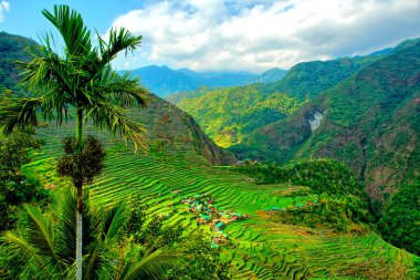  Filipinli Cordilleras 'ın Banaue Rice Terasları.                              
