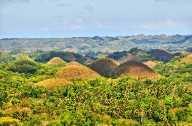      The Chocolate Hills - Filipinler 'in Bohol bölgesinde jeolojik oluşum.                          
