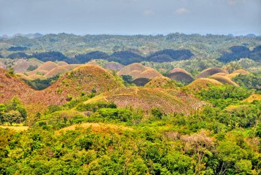      The Chocolate Hills - Filipinler 'in Bohol bölgesinde jeolojik oluşum.                          