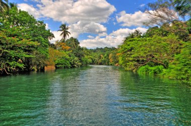   The Loboc River  -  a river in the Bohol province of the Philippines.                              clipart