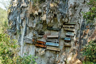  Filipinler 'deki Banaue kasabasında sözde asılmış tabutlar                              