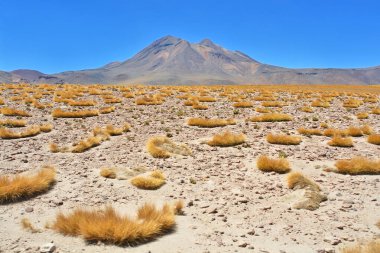 Şili Atacama Çölünün manzarası