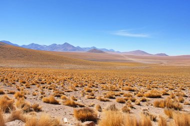 Şili Atacama Çölünün manzarası