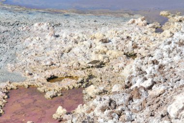 Chaxa lagünü, Atacama 'nın kuzey Şili' deki tuz düzlüğünde yer almaktadır.