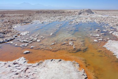 Chaxa lagünü, Atacama 'nın kuzey Şili' deki tuz düzlüğünde yer almaktadır.