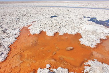 Chaxa lagünü, Atacama 'nın kuzey Şili' deki tuz düzlüğünde yer almaktadır.
