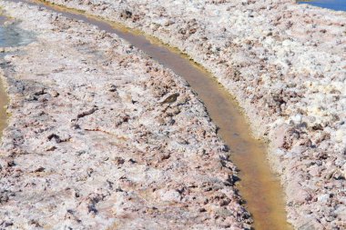 Chaxa lagünü, Atacama 'nın kuzey Şili' deki tuz düzlüğünde yer almaktadır.