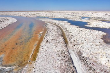 Chaxa lagoon  located in the salt flat of Atacama  northern Chile clipart