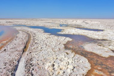 Chaxa lagünü, Atacama 'nın kuzey Şili' deki tuz düzlüğünde yer almaktadır.