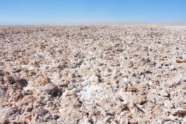 Chaxa lagünü, Atacama 'nın kuzey Şili' deki tuz düzlüğünde yer almaktadır.