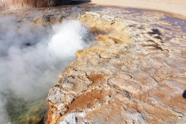 Kuzey Şili 'deki Atacama Çölü' ndeki Tatio gayzer tarlasının sıcak pınarlarına mineraller bırakıldı.