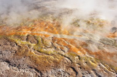  El Tatio  geothermal field with many geysers located in the Andes Mountains of northern Chile                               clipart