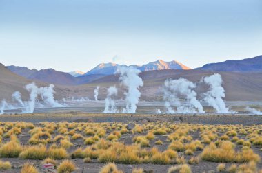 El Tatio  geothermal field with many geysers located in the Andes Mountains of northern Chile clipart