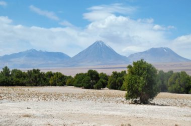         Toconao köyünün çevresindeki bölge Şili Atacama Çölü 'nde bir vaha olarak kullanılıyor.                       