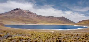 Kuzey Şili 'deki Atacama Çölü' nde minikler ve Miscanti gölleri