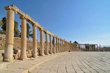      Jerash, Ürdün 'deki Oval Plaza Panoraması                          