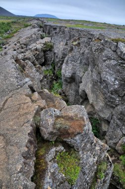 İzlanda 'da Mvatn' ın doğusunda sıradışı şekilli lav alanlarının oluşturduğu Dimmuborgir geniş alanı.