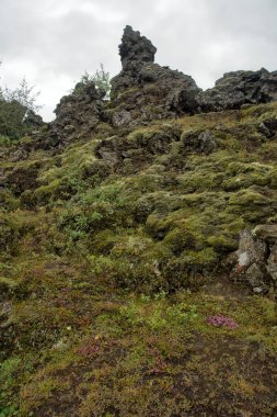 İzlanda 'da Mvatn' ın doğusunda sıradışı şekilli lav alanlarının oluşturduğu Dimmuborgir geniş alanı.