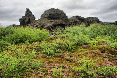 İzlanda 'da Mvatn' ın doğusunda sıradışı şekilli lav alanlarının oluşturduğu Dimmuborgir geniş alanı.