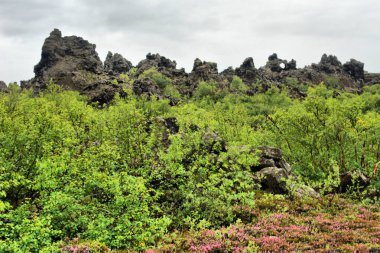 İzlanda 'da Mvatn' ın doğusunda sıradışı şekilli lav alanlarının oluşturduğu Dimmuborgir geniş alanı.