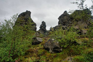 İzlanda 'da Mvatn' ın doğusunda sıradışı şekilli lav alanlarının oluşturduğu Dimmuborgir geniş alanı.