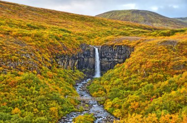 Svartifoss in the Skaftafell Nation Park  in Iceland  clipart