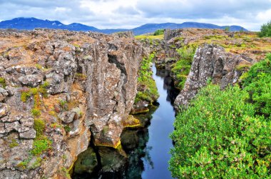 ingvellir - Thingvellir - İzlanda 'nın güneybatısında bir milli park.