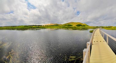 Cavendish Plajı 'ndaki kum tepeleri, PEI Ulusal Parkı, Prens Edward Adası, Kanada