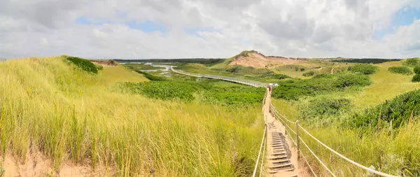 Sand dunes on Cavendish Beach, PEI National Park, Prince Edward Island, Canada