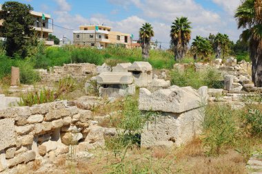 Al-Bass mezarlığı UNESCO Dünya Mirası Bölgesi, Tyre kentindeki al-Bass arkeoloji sahasının bir parçası. 