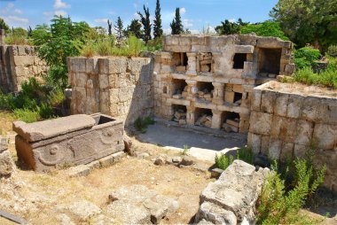 Al-Bass mezarlığı UNESCO Dünya Mirası Bölgesi, Tyre kentindeki al-Bass arkeoloji sahasının bir parçası. 