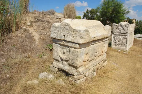 Al-Bass mezarlığı UNESCO Dünya Mirası Bölgesi, Tyre kentindeki al-Bass arkeoloji sahasının bir parçası. 