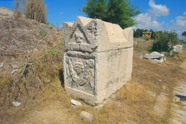 Al-Bass mezarlığı UNESCO Dünya Mirası Bölgesi, Tyre kentindeki al-Bass arkeoloji sahasının bir parçası. 