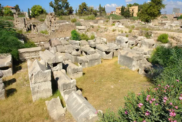 Al-Bass mezarlığı UNESCO Dünya Mirası Bölgesi, Tyre kentindeki al-Bass arkeoloji sahasının bir parçası. 